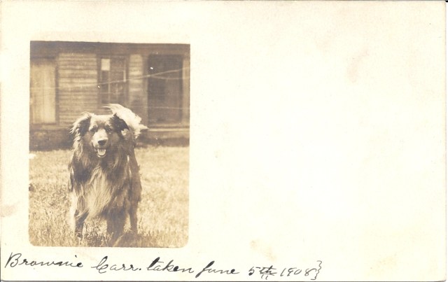 Brownie_1908