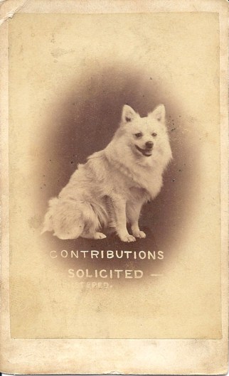 Contributions solicited