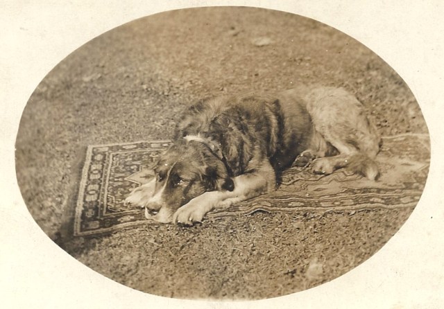 Real Photo Post Card c. 1910