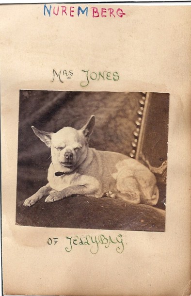 Mrs. Jones of Jellybag? c. 1900