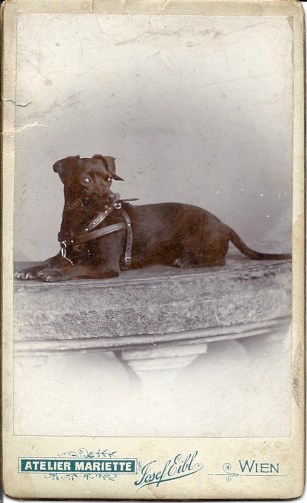 CDV c. 1890